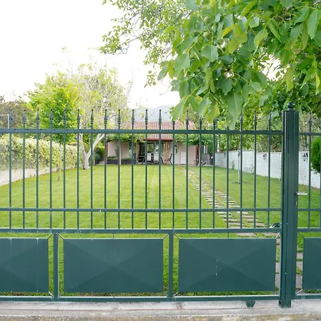 Dom wakacyjny Zak's House