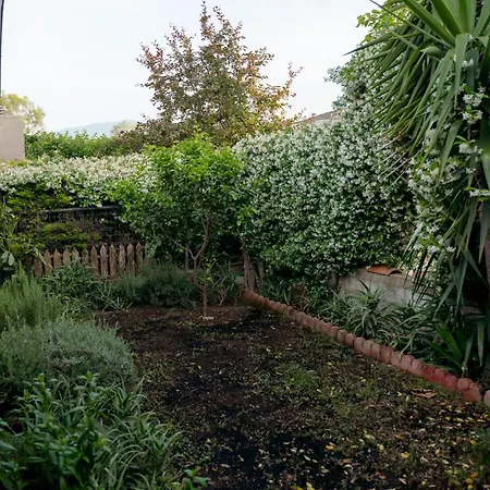 Zak's House Nyaraló *