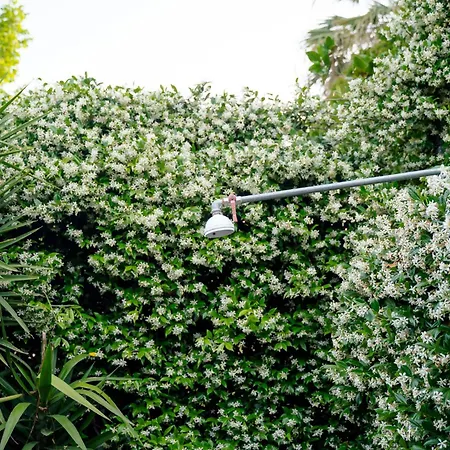 Zak's House Ferienhaus *