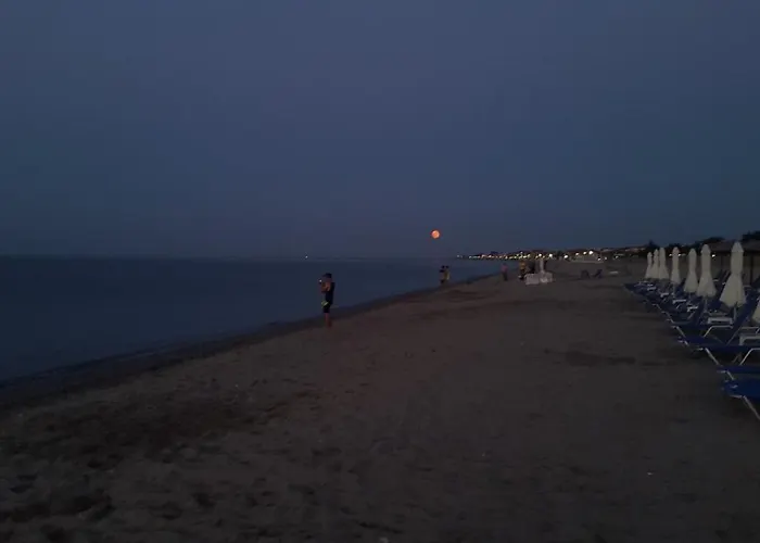 Zak's House פלטמונס