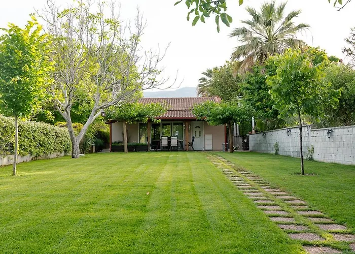 Zak's House בית נופש פלטמונס