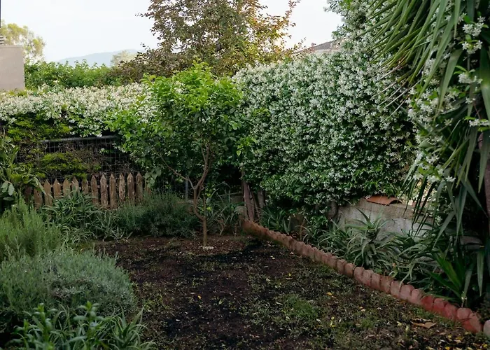 Zak's House בית נופש *