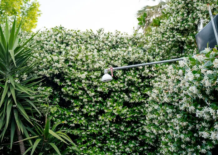 Zak's House בית נופש *