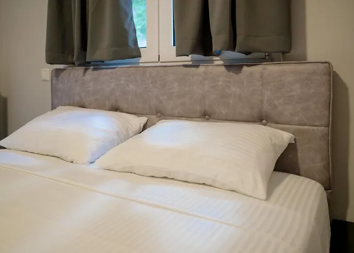 Zak's House פלטמונס