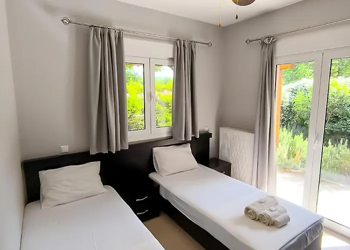 Zak's House פלטמונס